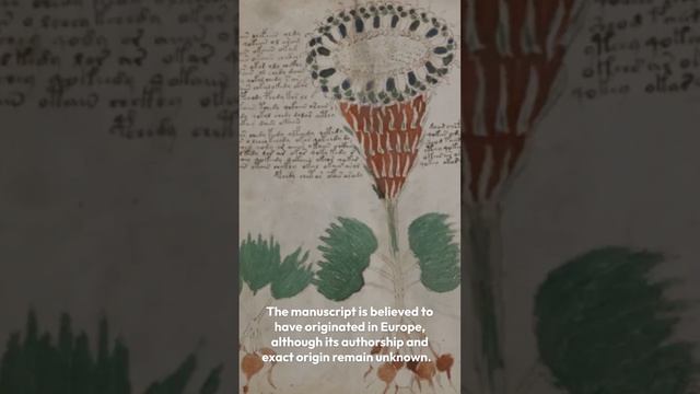 The Voynich Manuscript: The Unreadable Book That Baffles Experts. @unchartedtruths смотреть онлайн