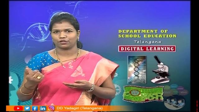 9th Class Biology (E/M) || Plasma Membrane || School Education || November 04, 2020 смотреть онлайн