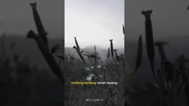 Kawan, Jangan Bersajak di Ujung Jalan #puisi #laguenaksewindru смотреть онлайн