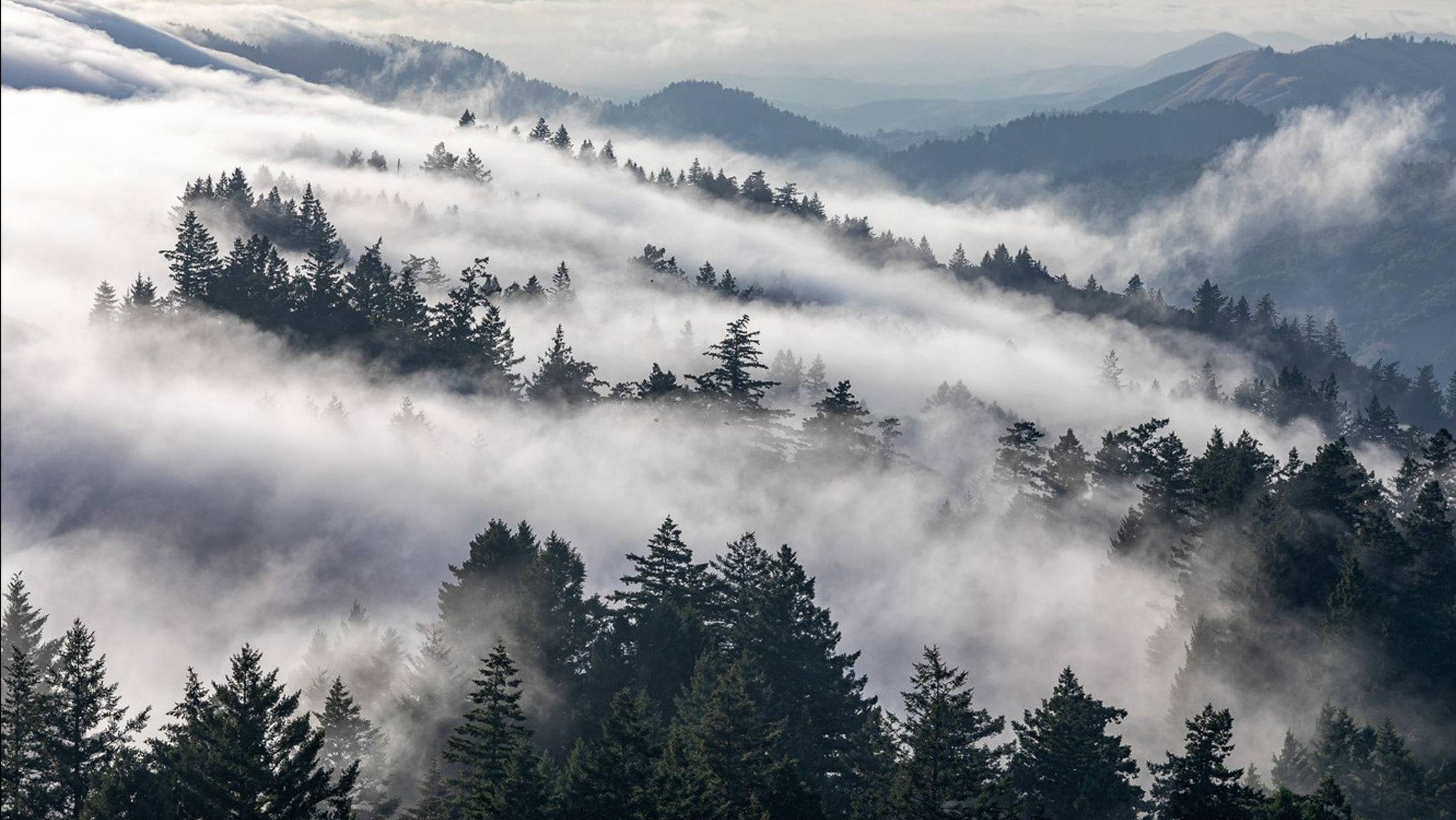 Relax video 26. Vol. 1 / Ambient Music смотреть онлайн