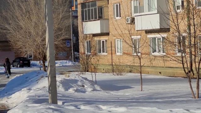 6 марта 2023 г. Солнечное утро 🌤 Белка гуляет 🐕🐾 смотреть онлайн