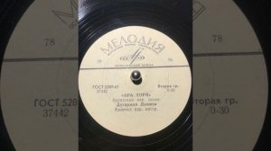 Ара тори - Дугаржап Дашиев