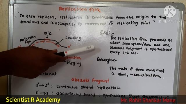 Replication:3|Replication Fork|Okazaki Fragments|CSIR-NET|GATE|M.Sc|ICARICMR-NET|Rohit Shankar Mane смотреть онлайн