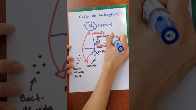Enlouquecendo alunos: ciclo do nitrogênio em ~1min. смотреть онлайн