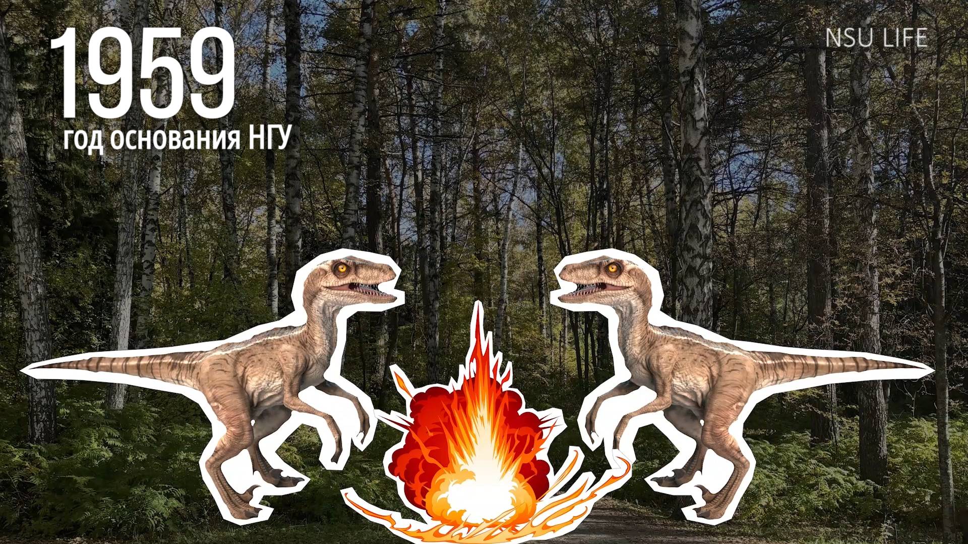 НГУ в цифрах смотреть онлайн