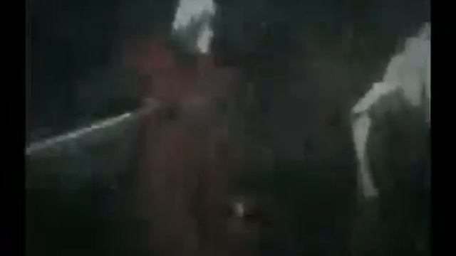 Devil May Cry AMV Animals I have Become смотреть онлайн