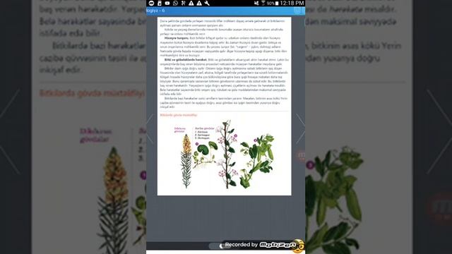 Biologiya 6 Dərslik.Səh 89.Mövzu 29.Bitkilərdə Dayaq Sistemi._Aylin 505 Bayramlı_