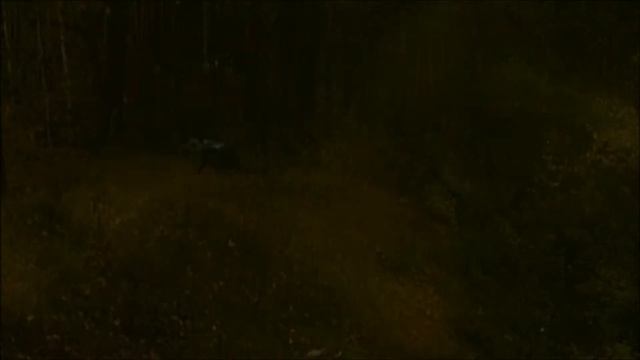 Михаил Мельников. "ЕГТИ" Видео 3. Оригинал смотреть онлайн