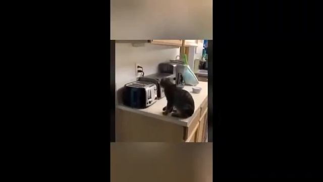 FUNNY VIDEOS COMPILATION #32 | best cube compilation #32 2021 смотреть онлайн