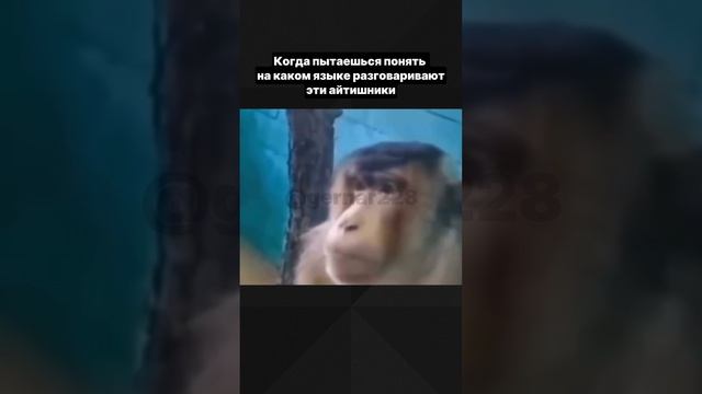 🤓 айтишники, вас также слышат со стороны? смотреть онлайн