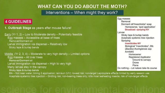 The Spongy Moth in Our Yards and Forests смотреть онлайн