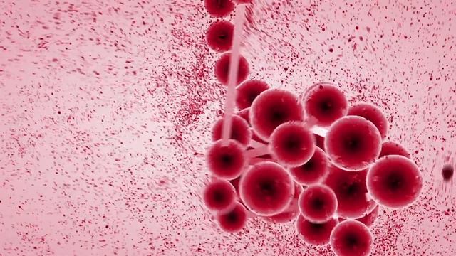 18 El plasma, la nova arma contra el càncer смотреть онлайн