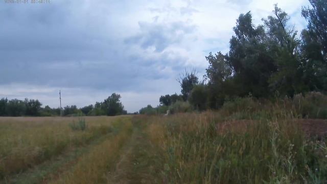 Поездка на тархунное поле.😊