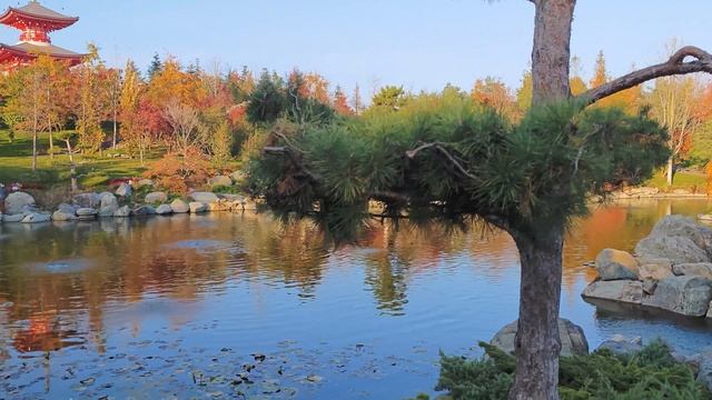 Японский сад Краснодар, осень прогулка 2ч смотреть онлайн