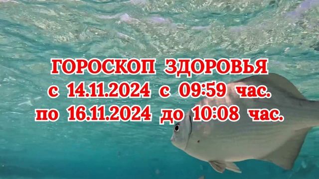 "ГОРОСКОП ЗДОРОВЬЯ с 14 по 16 НОЯБРЯ 2024 года!" смотреть онлайн