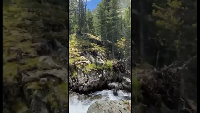 Горный Алтай #живаяэтика #агнийога #горы #алтай