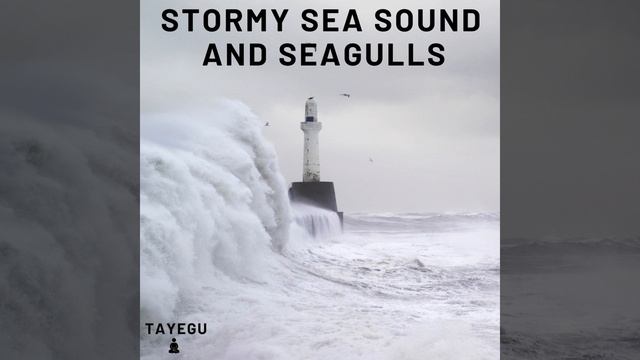 Stormy Sea Sound and Seagulls Winter Ocean 1 Hour Relaxing Nature Ambience Yoga Meditation... смотреть онлайн