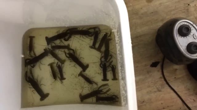 Воронеж-Казань