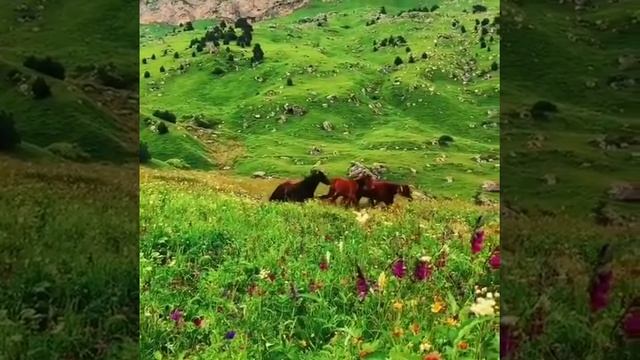 Ингушетия 😍 Эхь-Эздел 💞 смотреть онлайн