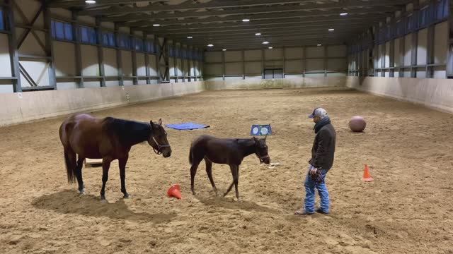 Walla Star Walker 3 Months