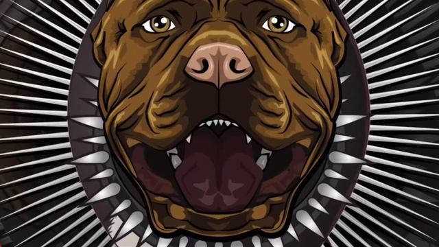 American bully Camelot 2 year transformation (Thanos) please trust the process be patient смотреть онлайн