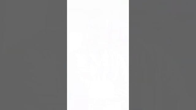 Что лучше КТ или МРТ