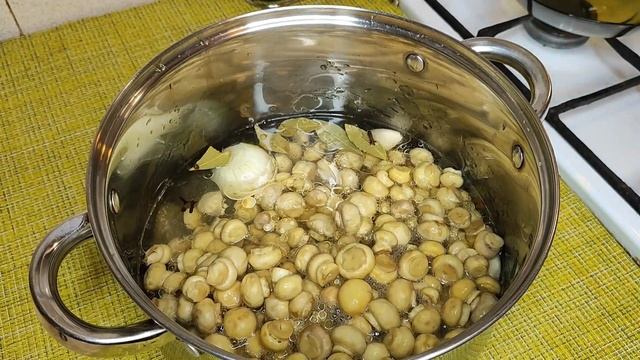 Creative Curiosities