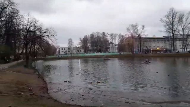 VLOG 17.04.2024 г Комнатные растения/ Вязание/ Видео от наших друзей/ Река Истра/ Набор для специй смотреть онлайн