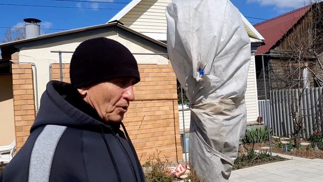 Обустройство сада. Защита цветущих деревьев от заморозков смотреть онлайн
