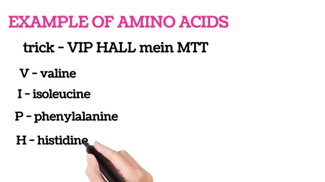 Protein & amino acids part 3 | BY ENGLISH WITH MASTER G смотреть онлайн