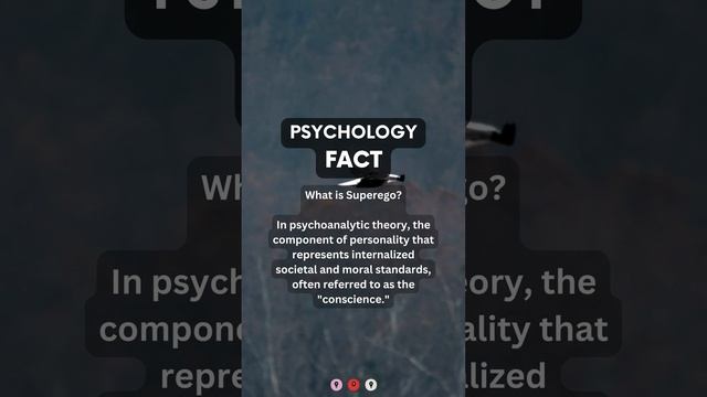 What is superego? | #psychologyfact #generalpsychology смотреть онлайн