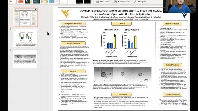 Developing A Gastric Organoid Culture System To Study The Interaction Of Helicobacter Pylori