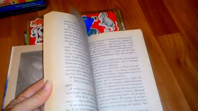 Очень много детских книг и развивашки