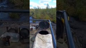 МТЛБ И МТЛБ(У) штурмуют болото!