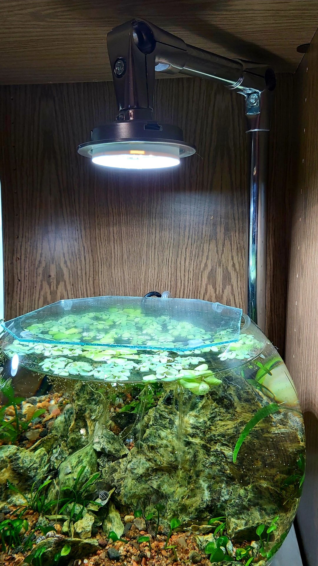 Подставка под #аквариум, сделанная #своимируками смотреть онлайн