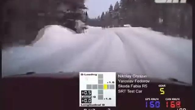 Лось на дороге смотреть онлайн