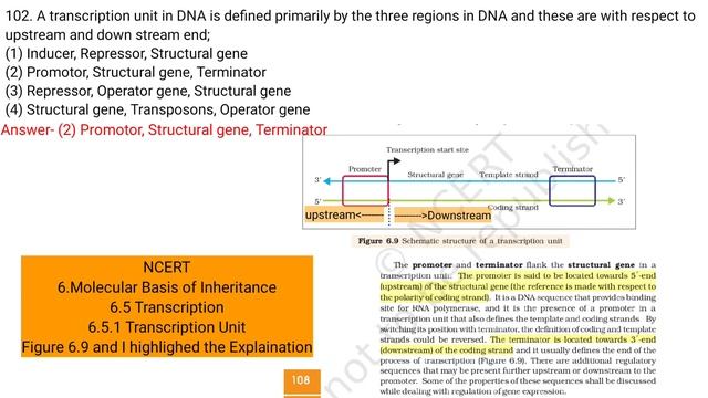 A Transcription Unit In DNA Is Defined Primarily By The Three Regions In DNA And These Are With Res