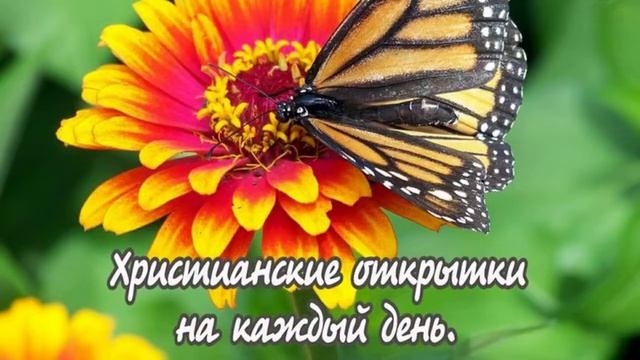 Россия, сладкая прекрасная земля, Иисус так любит тебя! смотреть онлайн