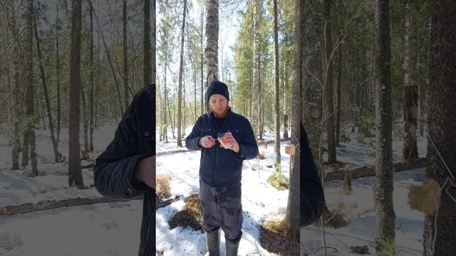 Зачем нужна свечка в лесу? #выживалыч #выживание #дикаяприрода #бушкрафт #кемпинг