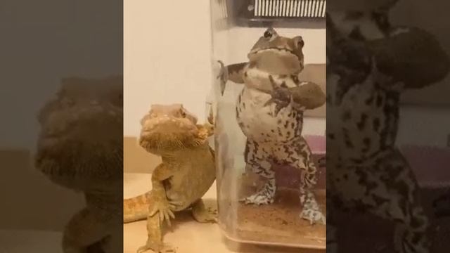 Ну чо ты сфоткал смотреть онлайн