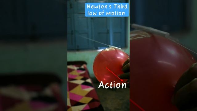 Newton's Third Law of Motion || Action - Reaction #physics #newton #experiment #class9 смотреть онлайн