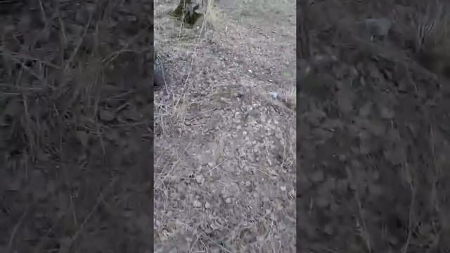 Защитим природу!!!