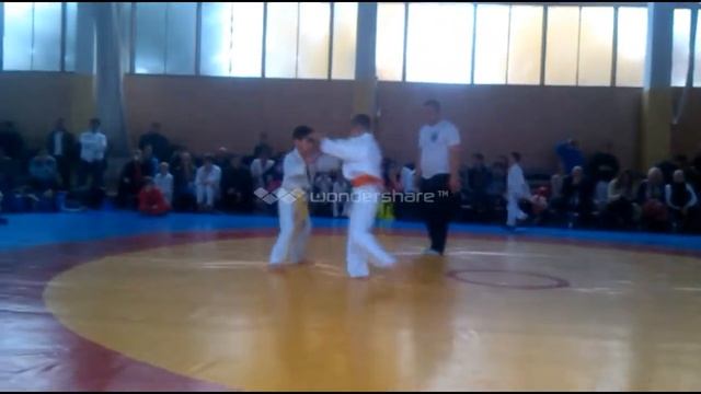 jiu jitsu bushinkai md смотреть онлайн