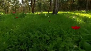 Кому ты нужна? С тобой даже в люди не выйдешь. Но услышав от жены всего три слова…