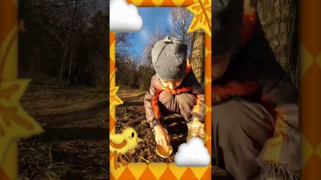 САНЕЧЕК КОРМИТ ПАТО(утка) ПРИЛЕТЕВ С ДАСТИ И ШКИПЕРОМ. МУЗЫКА ОДИН ДОМА смотреть онлайн