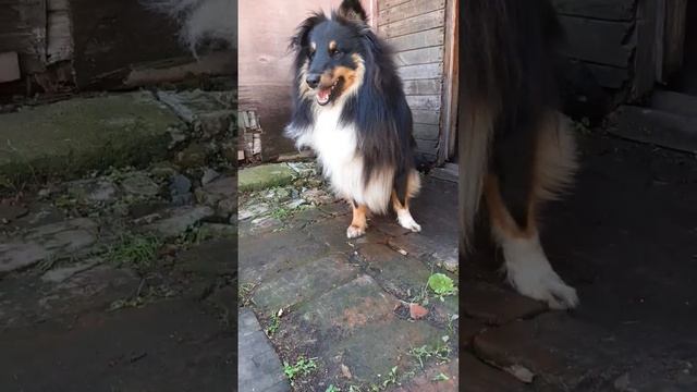 плохии рифмы смотреть онлайн