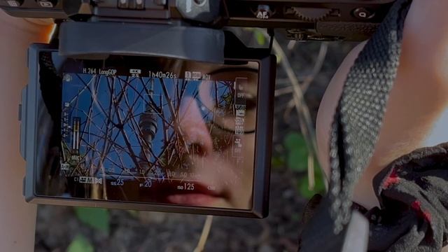 ИНОЙ ВЗГЛЯД: Останкинская телебашня