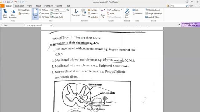 nervous histo 1 tb dr omar fawzy смотреть онлайн
