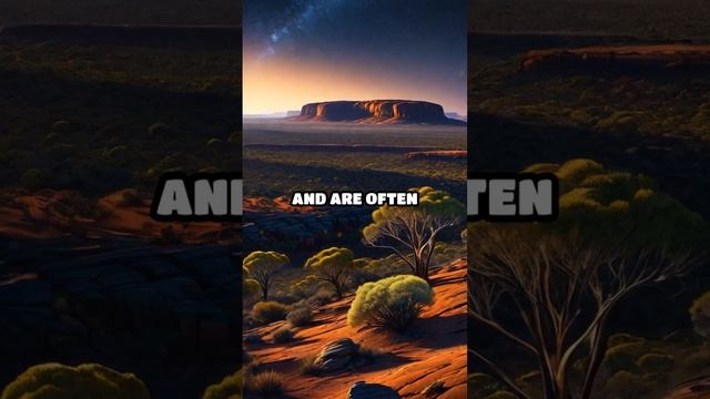 Inside the Habitat of the World's Rarest Parrot