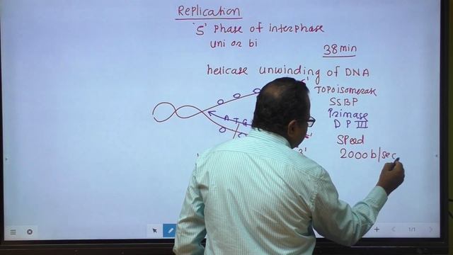 L4 MBI DNA Replication